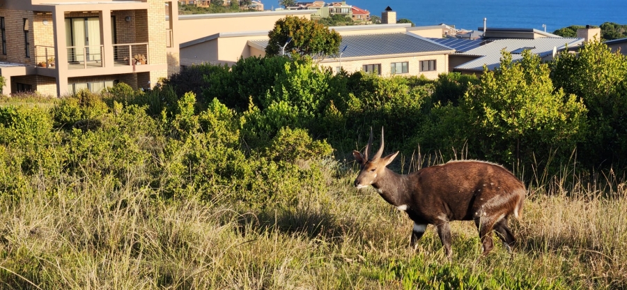 3 Bedroom Property for Sale in Blue Ridge Western Cape